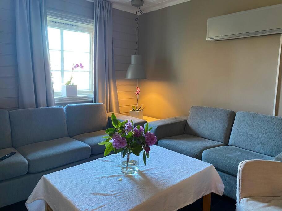 Cosy And Well-Equipped Apartment With Free Parking Trondheim Kültér fotó