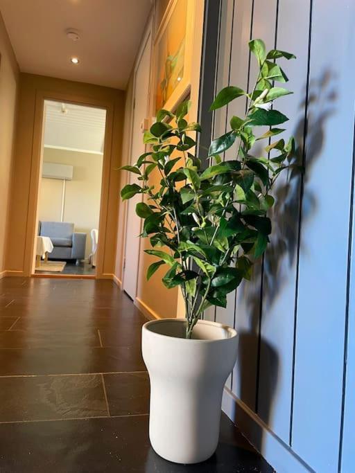 Cosy And Well-Equipped Apartment With Free Parking Trondheim Kültér fotó